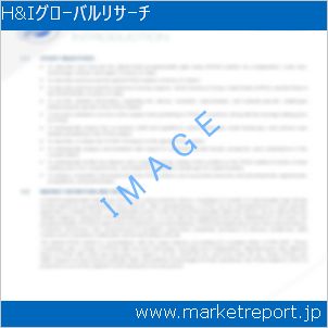 市場と産業調査レポートのイメージ